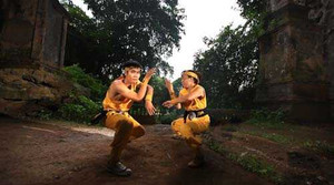 Năm Tỵ, xem những đòn thế tấn công tuyệt đẹp võ rắn