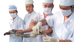 Độc đáo trại rắn lớn nhất nước