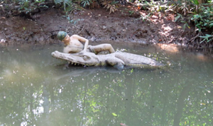 Người 'làm xiếc' với bầy cá sấu hung dữ ở U Minh Hạ