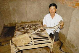 Nơi đàn ông và đàn bà cùng thuần hóa rắn