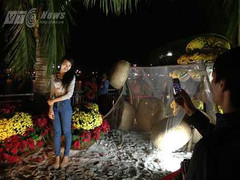 Thiếu nữ tạo dáng, đường hoa 17 tỷ nát bươm