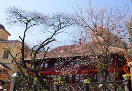 Mùng 6 tết, thời tiết cả nước ra sao?