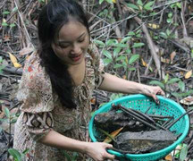 Lan Phương mếu máo sục bùn bắt ba khía