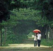 Sau tết Nguyên Đán, thời tiết có gì bất thường?