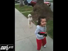 Chú chó đi bằng hai chân chạy theo chủ