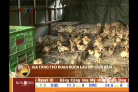 Sửng sốt với những thủ đoạn buôn lậu tinh vi