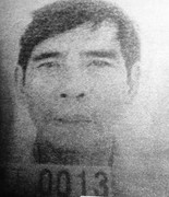 Dẫn nhau vào tù chỉ vì cây dừa mọc nghiêng