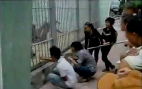 Nam thanh nữ tú trêu chọc hổ, làm loạn sở thú