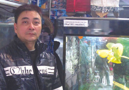 'Dân chơi' Hải Phòng kể thú chơi cá rồng nghìn đô