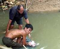 Chở gỗ lậu đi bán, nam thanh niên tử vong