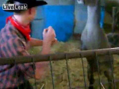 Clip: Nai xổ 'liên hoàn cước' tấn công người