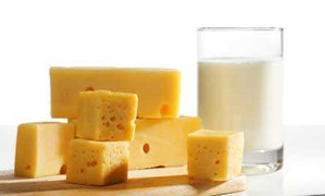 Sữa và pho mát giúp đánh bại stress