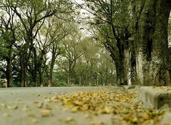 Ngày mai, gió mùa Đông Bắc tràn về