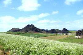 Ngắm tuyệt phẩm của núi rừng Tây Bắc