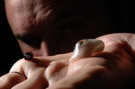 Quay cảnh ân ái 2 cô gái rồi tống tiền