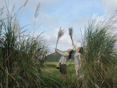 Hôm nay, thời tiết cả nước rất đẹp