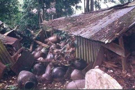 Lạnh sống lưng vào khu rừng huyền bí ở Tây Nguyên