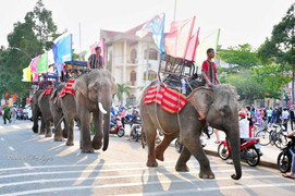 Cám cảnh Voi Bản Đôn dạo phố quảng cáo cà phê