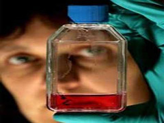 Sa thải cô giáo bắt học sinh nếm máu