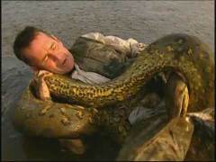 Video: Thót tim cuộc chiến giữa người và trăn khổng lồ