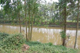 Xác ba mẹ con trôi sông: Tự tử vì bị chồng đánh?