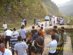 Cây nặng hơn 5 tấn từ trên trời rơi xuống!