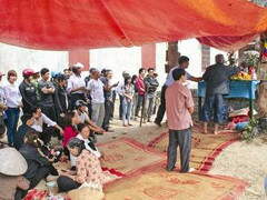 Rắn Bắc Giang có gì lạ mà ngàn người tới khấn vái?