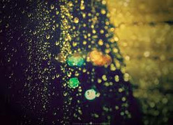 Lâm Đồng xuất hiện mưa 'vàng'