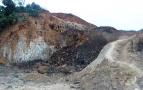 Chính phủ 'cấm', tỉnh vẫn xin 'cho'