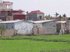 Hà Nội: Nhan nhản đất nền chỉ 10-15 triệu đồng/m2