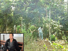 Xương người trong vườn: Lời khai vợ Bí thư xã