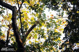 Cuối tuần: Miền Bắc hết lạnh, miền Nam nắng nóng