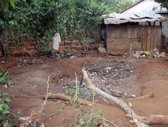 Vợ bí thư xã chém người: Lời kể hàng xóm