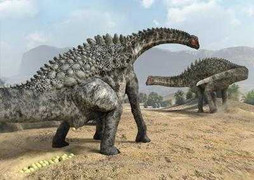 Phát hiện hàng trăm trứng 