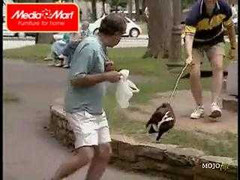 Sợ vỡ tim với 'con thú lạ' trong công viên