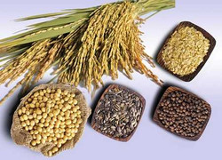 Những thói quen ăn uống nên được thay đổi