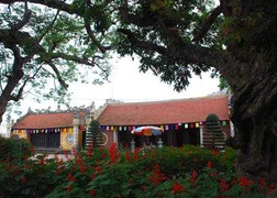 Khó tin chuyện đem 'thần thánh' ra bêu nắng