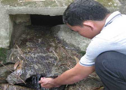 Hài hước chuyện đổ xô lên núi hứng 'tôm thần'