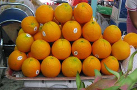 Cam Trung Quốc gắn mác cam Vinh ồ ạt vào Việt Nam