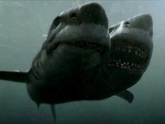 Video về 'thủy quái' 2 đầu đầu tiên trên thế giới