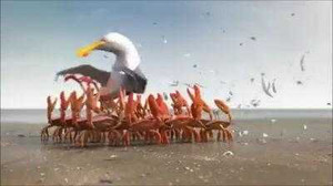 Clip cực hay về sự đoàn kết và liên minh của động vật