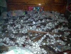 Mưa đá to bằng bát con, cả nghìn mái nhà thủng