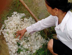 Sapa cũng 'dính' mưa đá