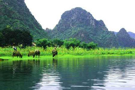Sổ đỏ Di sản Phong Nha - Kẻ Bàng bị 'cầm cố'