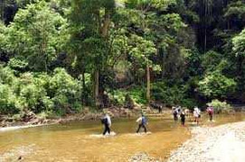 5 người đi rừng bị bắn chết gần biên giới