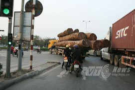 Ai tiếp tay để 'hung thần' đất Cảng lộng hành?