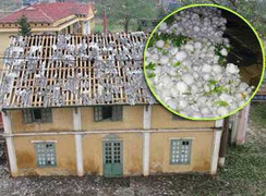 Video: Dân run rẩy trước mưa đá to như bát ăn cơm