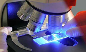 Phát hiện thuốc mới chữa mọi loại bệnh ung thư