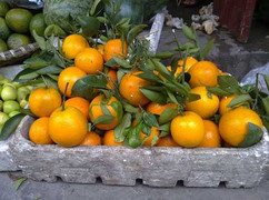 Phẫn nộ người Việt lừa nhau bằng hàng Tàu