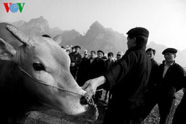 Những khoảnh khắc tuyệt đẹp tại phiên chợ trăm năm tuổi